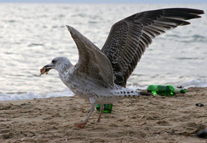 Лариса Медведева не могла больше работать из-за возраста