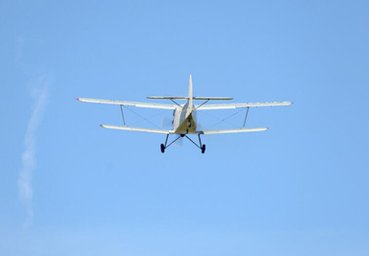 Причины авиакатастрофы пока непонятны