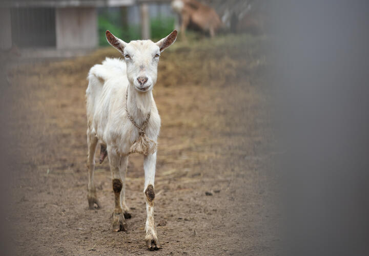 Жительница Гидростроя призывает написать коллективную жалобу 
