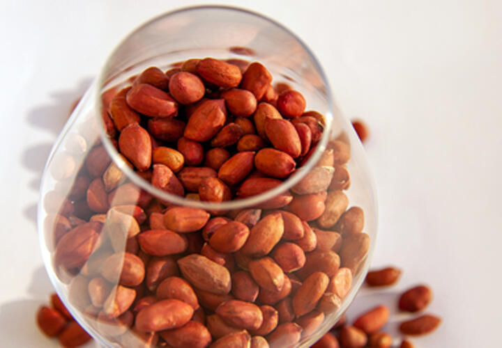 Этот дешёвый орех поможет продлить молодость, заявили учёные