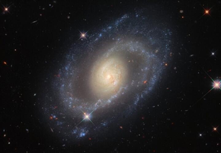 Гороскоп на неделю с 18 по 24 августа 2025 года от «Живой Кубани»