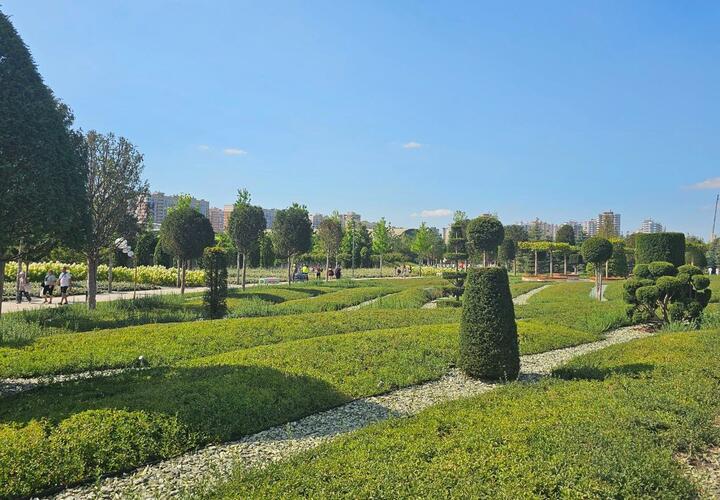 Изнурительная жара не отступит: о погоде в Краснодарском крае 6 августа рассказали синоптики