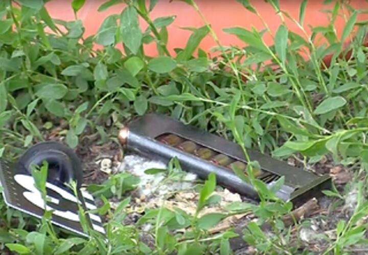 Как в 90-е: 34-летний житель Краснодара нанял киллера для убийства 20-летней девушки