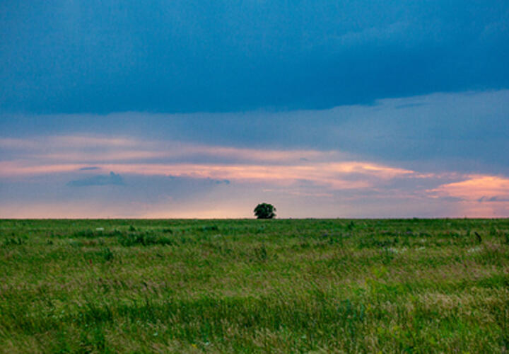 Какая погода будет в Краснодарском крае сегодня, 16 августа 