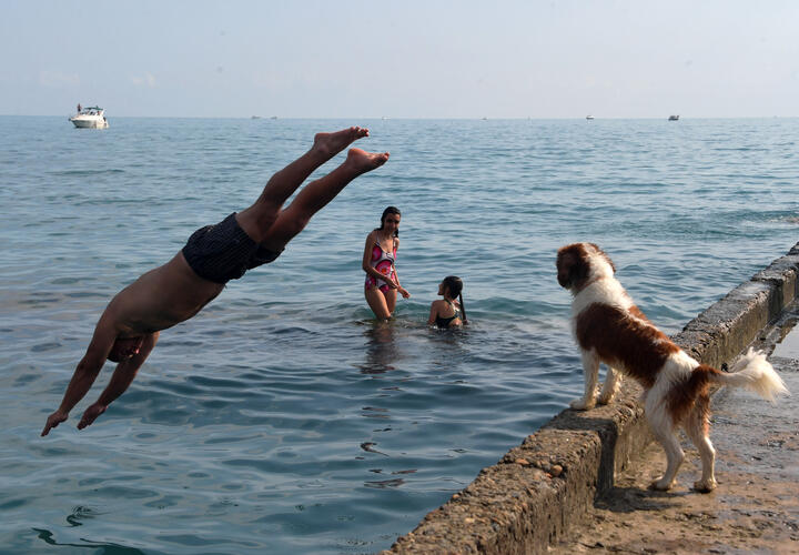 Какая погода будет в Краснодарском крае сегодня, 19 августа 