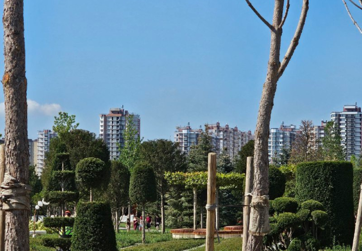 Какая погоду будет в пятницу, 15 августа, рассказали синоптики