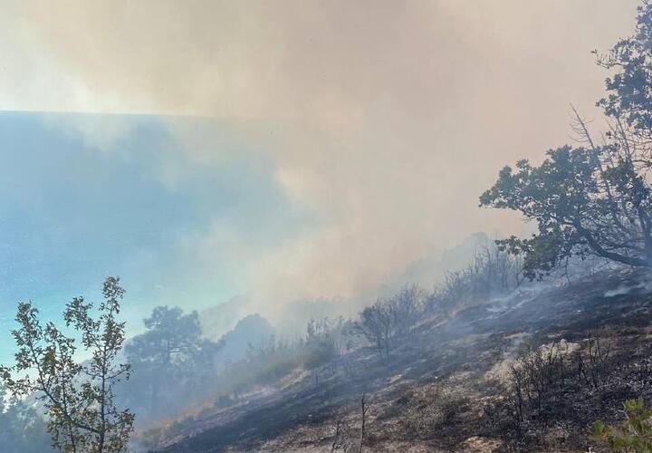 Лесной пожар под Анапой тушит авиация МЧС