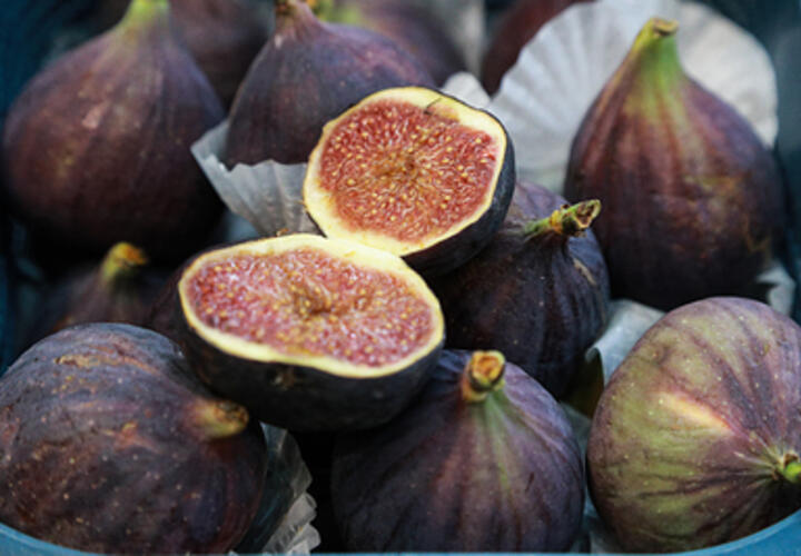 На Черноморское побережье завезли из Европы опасного вредителя инжира