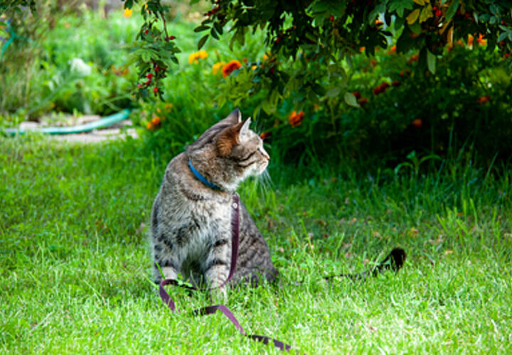 На Кубани станет гораздо жарче сегодня, 23 августа 