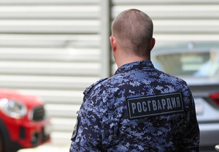 Вмешалась Росгвардия