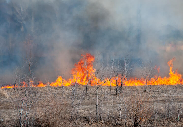 Огонь охватил уже 32 га в Геленджике: что известно о последствиях украинской атаки