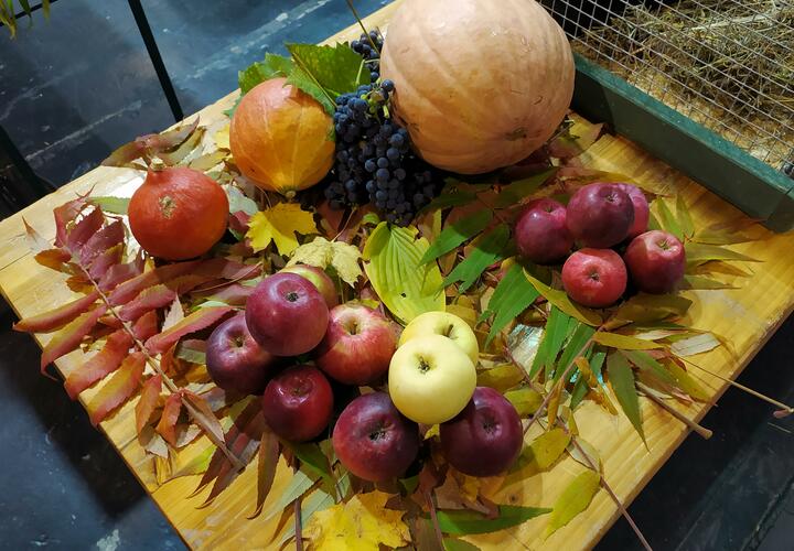 Простые продукты, которые помогут зарядиться витаминами в серые дни