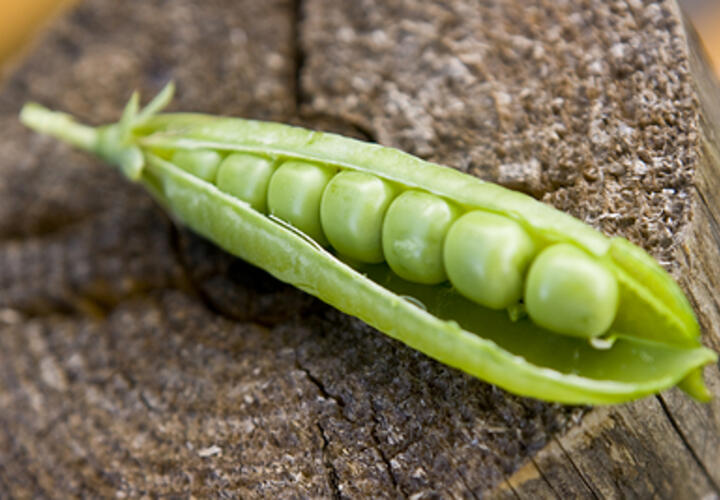 От отеков ни следа: о неожиданной пользе гороха рассказала эксперт