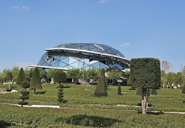 Погода на неделю с 25 по 31 августа на Кубани