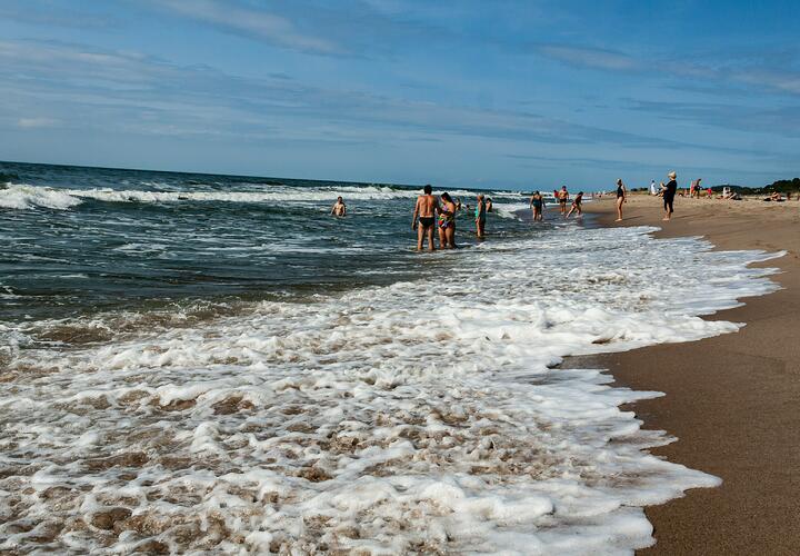 Проверку начали после публикации видео в соцсетях