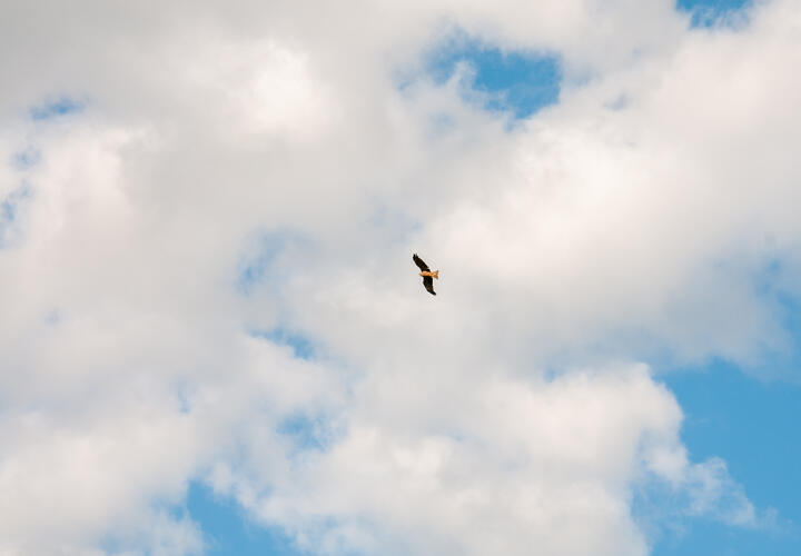 Туристов и местных жителей просят срочно зайти в помещения