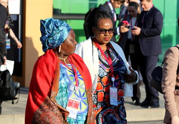 Представитель МИД РФ Башкин прокомментировал информацию