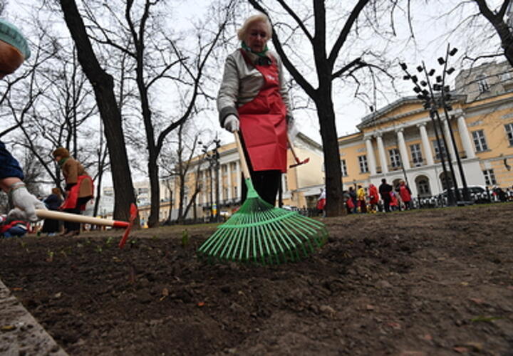 С понедельника в Краснодаре стартует санитарный марафон