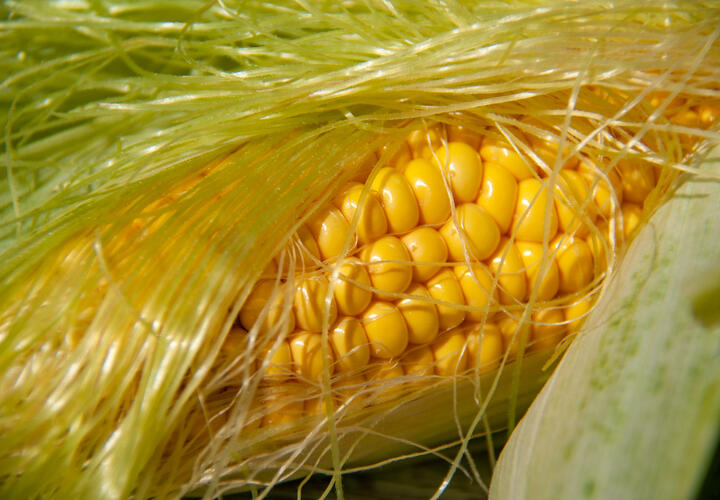 Несколько простых советов и рецептов 