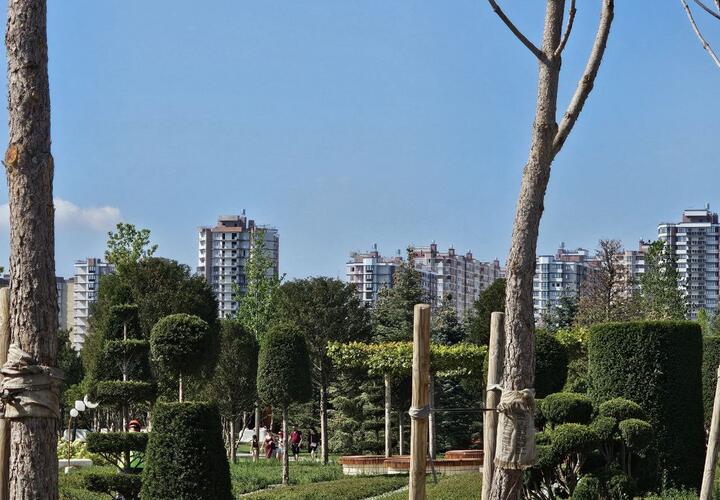 Точный прогноз на 11 августа в Краснодарском крае