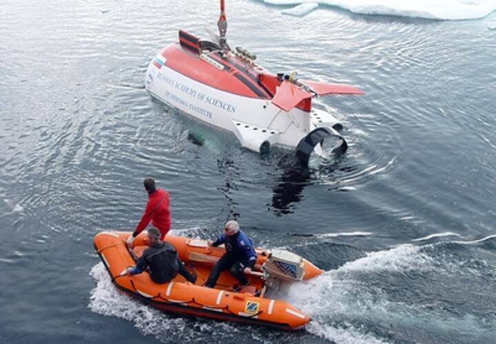 У Марианской впадины нашли странное прозрачное существо, неизвестное доселе учёным
