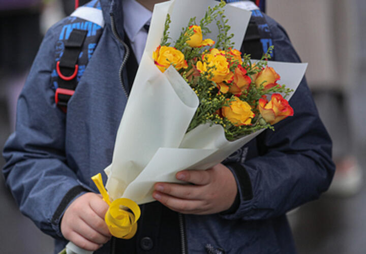 Удар по бюджету: сколько стоит собрать ребенка в школу в Краснодаре