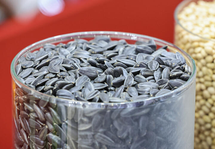 Увеличивает риск остеопороза и приводит к онкологии: любимый продукт многих людей оказался опаснейшим для организма, рассказала врач