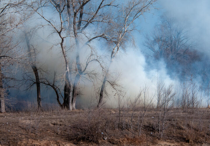 Уже больше 400 человек тушат пожар в Геленджике, подключены самолёт и два вертолёта