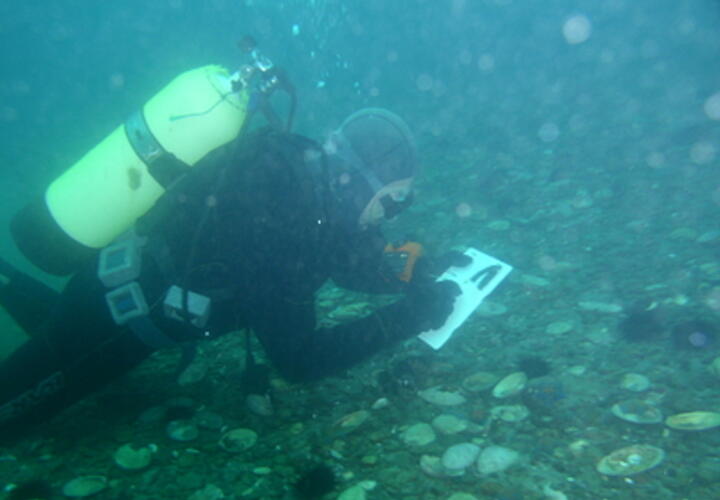 В Черном море планируют начать раскопки на месте затонувшего города