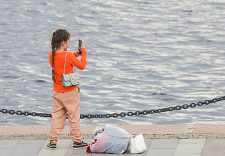 Взрывы в Новороссийске и сбежавший редкий зверь в Анапе: ТОП-5 за 19 августа