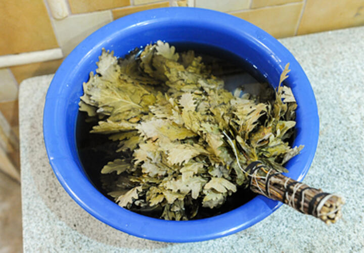 За обычную заготовку веников могут оштрафовать на сотни тысяч рублей, предупредили жителей Кубани власти