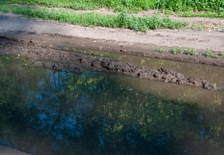 Жара и гроза: синоптики рассказали о погоде на Кубани 7 августа