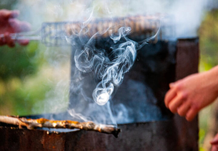 Жители Адыгеи жалуются на едкий дым и выброс вредных веществ, в регионе предприниматели производят уголь