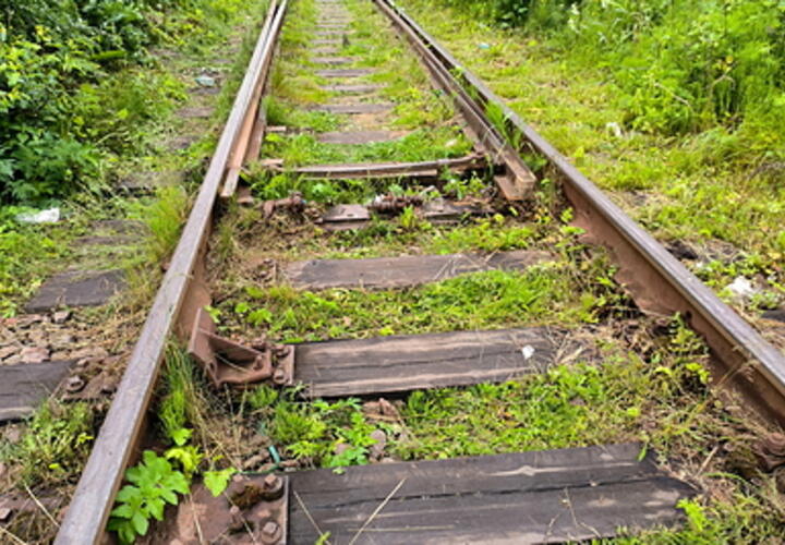 15-летнюю девушку насмерть сбила электричка на Кубани