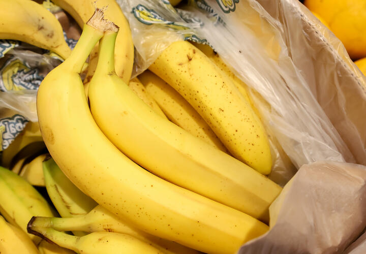 В селе Весёлое открыли первую теплицу для выращивания бананов и других растений