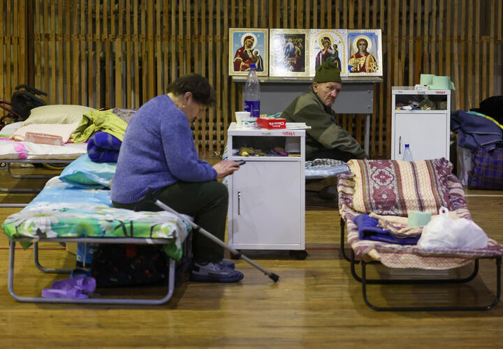 Рейтинг наиболее популярных материалов «Живой Кубани» за сегодня