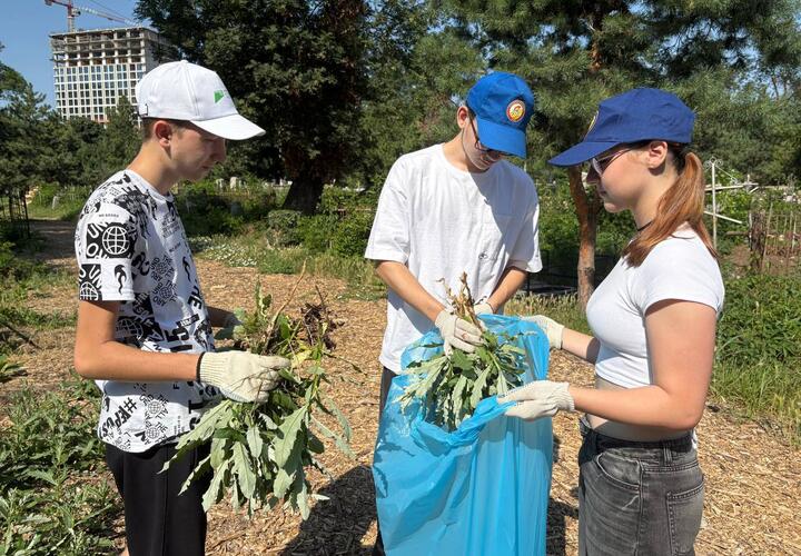 Более 4 тысяч подростков в Краснодаре летом устроились на временную работу