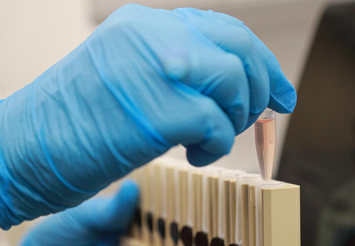 План исследований одобрен правительством и рассчитан на несколько лет