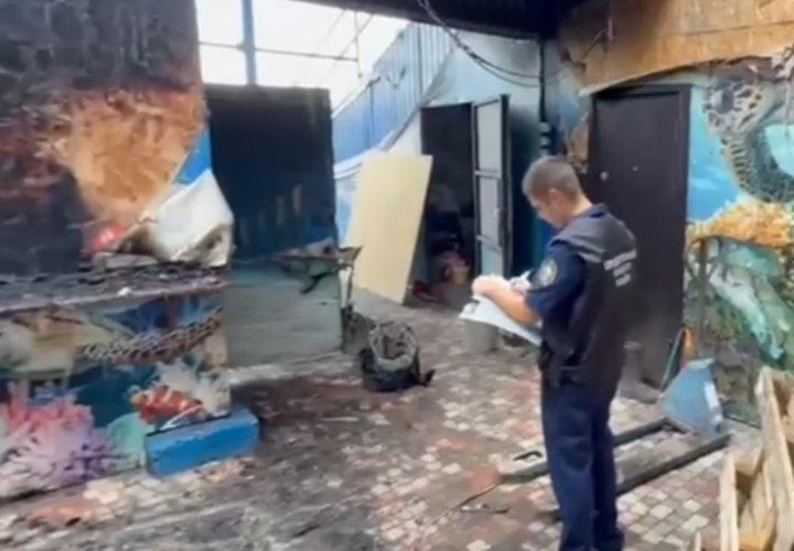 Что на самом деле произошло: удалось ли выжить крокодилам и другим рептилиям при пожаре в Ейске?