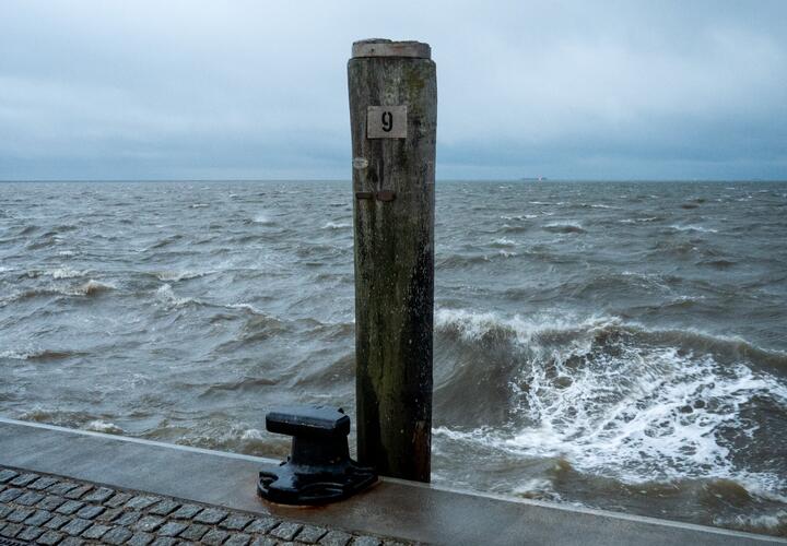 Учёные рассказали о последствиях