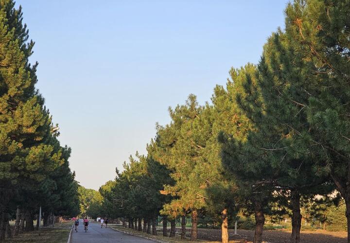 Дыхание осени: в Краснодарском крае становится прохладней