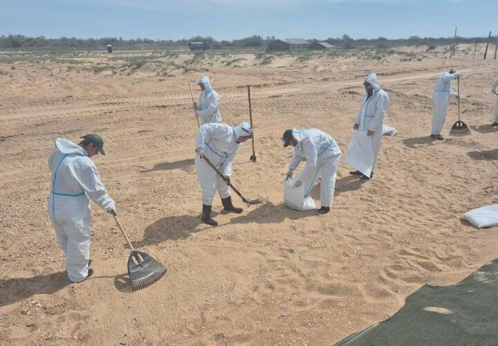 Эксперт: разлив мазута в море привел к финансовым потерям отельеров Анапы в 700 млн рублей