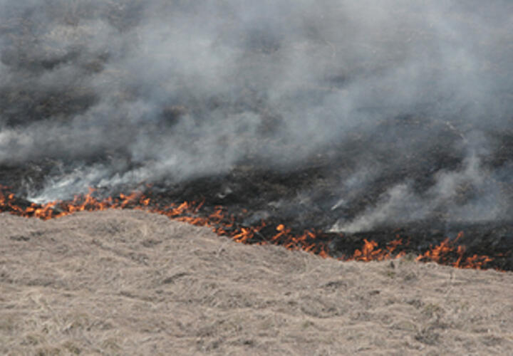 Есть разрушения: в двух районах Краснодарского края упали обломки БПЛА