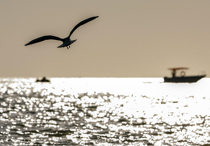 Температура воды сравняется с температурой воздуха