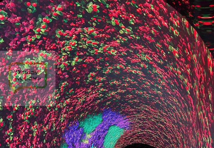 Атмосферная локация стала одной из самых необычных и популярных у жителей и гостей города