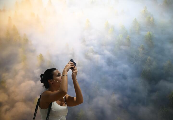 Больше всего жалоб от обладателей моделей Google Pixel 8, 9, 10 и 10 Pro