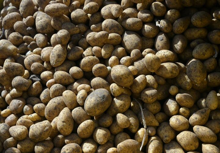 В ведомстве уверены, что такие меры приведут не к дешевизне, а к пустым полкам