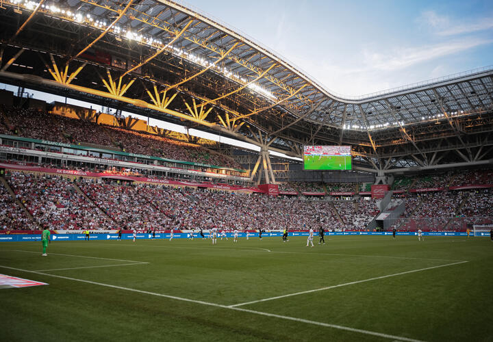 Мартин Крамарич пропустит два ближайших матча «Сочи» из-за своего дисциплинарного проступка