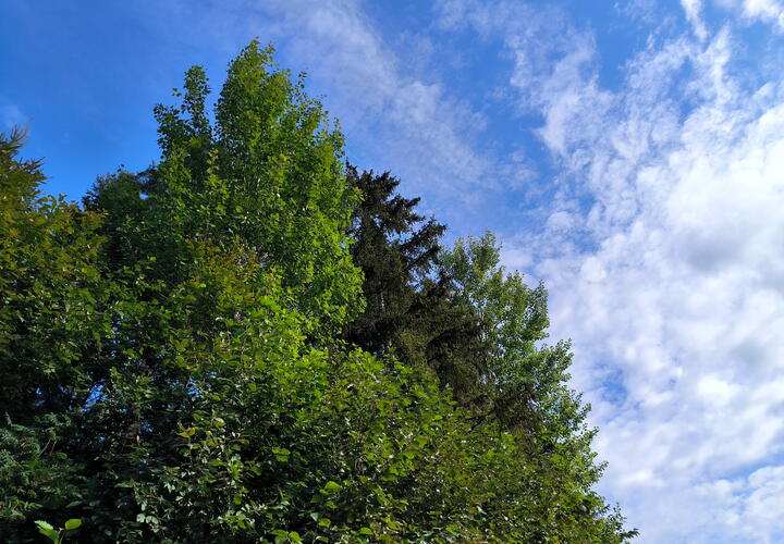 Жителей эвакуируют, ликвидация последствий продолжается 