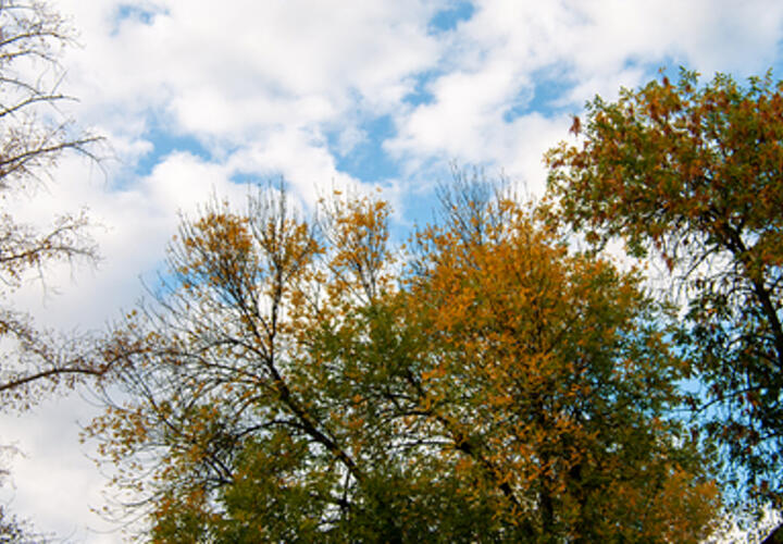 Очень ветреная погода ожидается 14 сентября в Краснодарском крае